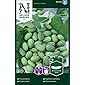 Mexikanische Minigurken Samen - Nelson Garden Gemüsesamen - Snackgurken Samen Saatgut (10 Stück) (Einzelpackung)