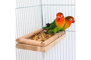 DNOIFNE Posadero para Aves, Plataforma para Loros de Madera Natural, Accesorio para Jaulas con Poste para Posarse, Trepar y Afilar Garras, Ideal para Loros, Periquitos, Agapornis y Pequeñas Aves - 20 × 10 cm