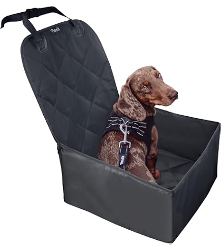 Ceinture De Sécurité Pour Chien Voiture - Avec Amortisseur élastique, Réglable, Pour Chiens Petits Et Moyens - 6