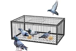 MUALROUS 60cm Piège à Pigeons de avec Conception à l’Épreuve de l’Évasion Pigeon Dove Piège à Oiseaux Cage Pliante Entrée à Sens Unique Piège de Jardin de Patio Extérieur pour Moineau Souris Lapin