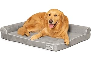 PetFusion Betterlounge Hundebett aus Memory-Schaumstoff, Wildleder, bequemes Bett für Hunde, mit wasserdichtem Futter und abnehmbarem Bezug, Größe L (91 x 71 x 15 cm)