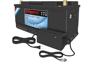 FLLEEYPOWER 120Ah 12V Batería LiFePO4 bateria Litio Energía de Emergencia con más de 4000+ de Ciclo Profundo y Protección 100A BMS para el Kit Panel Solar, Hogar, RV, Marina