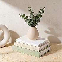 Decoratieve boeken Zandbeige Aardetint neutraal Boekenplankdecorbundel van bruin, Crème, Ivoor Decoratieve boeken Zandbeige Aardetint neutraal Boekenplankdecorbundel van bruin, Crème, Ivoor