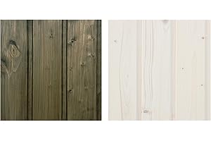 TIMBELA Lot de produits de protection pour la peinture des maisons en bois intérieur et extérieur – 5 l de produit de protection blanc + 5 l de produit de protection mousse + CADEAU lots de pinceaux