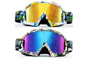 Fiada ATV-Schutzbrille für Erwachsene, Dirt-Bike-Schutzbrille, Anti-Beschlag, Motorrad, Ski, Motocross-Brille für Männer und Frauen, Reiten, Rennen, 2 Stück (klassisch)