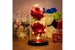 ZWOOS Rosa Eterna Kit, Bella e la Bestia Rose Romantica Rosa Decorazione Elegante Cupola di Vetro,Rosa Eterna Fiore Artificiale con Base Pino Luci LED per Natale San Valentino la Casa Festa Della Mamma (B)