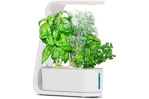 AeroGarden White Sprout