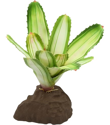 Exo Terra Terrariumpflanzen-Set - Star Kaktus & Turtle Grass, Realistisch, Für Reptilien-Terrarien