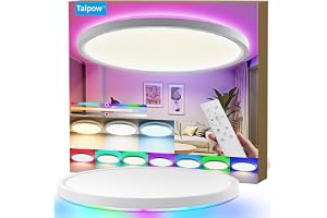 Taipow Taklampa LED 24W 2160LM Färgförändring med Fjärrkontroll, 3000K-6500K 7 RGB Färg Modern Rund LED-Taklampa för Badrum V