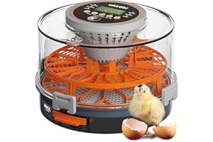 Incubadora automática Okköbi para huevos – incubadora huevos gallina 12 o 20 unidades – incubadora de huevos con control de temperatura y humedad – volteo automático – lámpara incluida