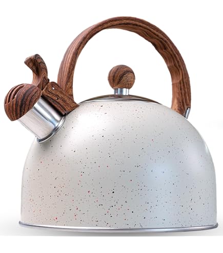 Kinghoff bollitore a gas 1,8l KH1856 Bollitori fischianti