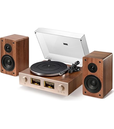 Bose Wave SoundTouch muzieksysteem IV - platina-zilver, compatibel
