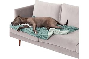 Furhaven Large Waterproof Two-Tone Luxe Velvet Dog Blanket, Washable - Celadon Green, Large