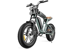 ENGWE M20 Bici Elettrica Per Adulti, Batteria Rimovibile Da 48V 26AH/13AH, Bicicletta Elettrica Fuoristrada, Pneumatici Larghi Da 20" * 4,0", Fino a 150KM Con Doppia Sospensione