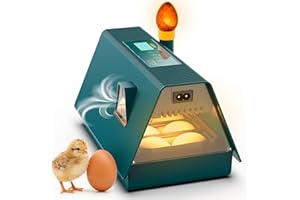 OKKÖBI Okkobi M10 Couveuse Oeuf Automatique - Idéal tous âges - Incubateur Retournement Automatique - Contrôle Humidité - Mire oeuf intégré - 10 œufs - Tout type volailles - Vert et Jaune