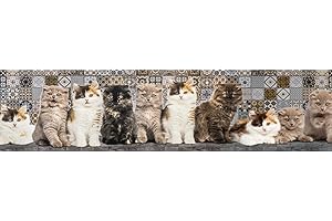 REDS Tappeto PRINTY - Tappeto multiuso antiscivolo per ingresso, cucina, camera, bagno - Lavabile in lavatrice - 50x300 cm