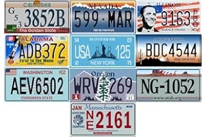 OPO 10 - Set di 10 targhe in Metallo per Auto USA - Repliche di targhe Americane Reali (Fabbri LF3)