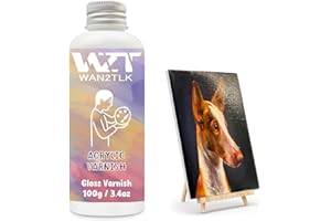 WAN2TLK 100ml Acrylic Varnish for Painting, Protective Gloss Finish, Non-Yellowing Sealer for Artists Canvas, Wood & Crafts