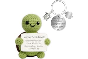 Farbeele Positive Schildkröte und Glücksbringer-Schlüsselanhänger, Pocket Hug Positive Puppe, MutmacherGeschenk, Gute Besserung Geschenk, Glücksbringer Prüfung, Weihnachts Geschenk