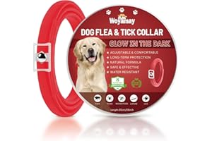 Woyamay Collare Antiparassitario per Cani, Luminoso Collare Antipulci Cane Impermeabile, Regolabile Collare Antizecche per Cani Naturale 8 Mesi di Efficacia Protezione per Tutti i Tipi di Cani, Rosso