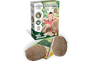 Science4you - Starter Kit di Uova di Dinosauro - Kit Scientifico per Scavare - Gioco di Paleontologia Con 2 Uova - Giocattolo Educativo per Bambini 5-9 Anni