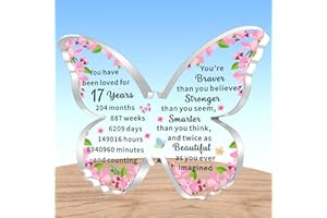 AMZQ Inspirational 17th Birthday Gifts for Girls Transparent Butterfly Shape Acrylic Birthday Present Ideas for 17 Year Old Girl