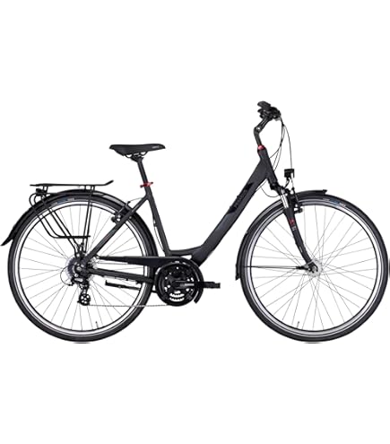 Pegasus Solero SL 24 28 Zoll Damenrad 24-Gang Kettenschaltung schwarz :  Amazon.de: Sport & Freizeit