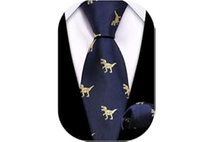 Barry.Wang Ragazzi Cravatta di seta per ragazzi Set quadrato con taschino, motivo scozzese Paisley per feste di busines