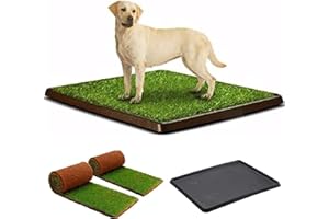 Kit XL cane PetZolla - Lettiera per cani in Vera Erba con Vassoio Riutilizzabile 100X90 cm, Traversine cane 100% Naturali e Atossiche, Toilette per cani in vero prato dura fino a 4 Settimane