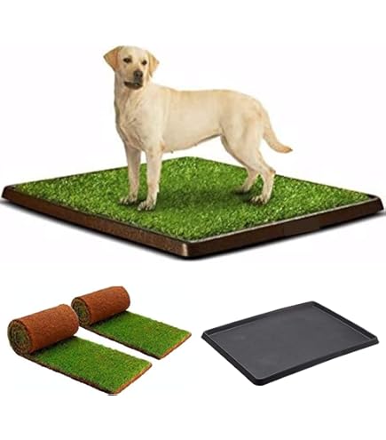 Lettiera Per Cani 63x50 Cm Con Erba Sintetica - Per Cuccioli E Cani Anziani, WC Per Interni/Esterni