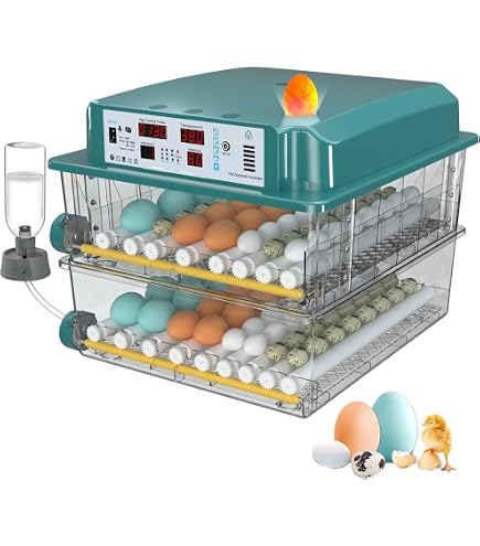 Vollautomatischer Brutautomat Für 12–16 Eier | Mit Wende- & Befeuchtungsautomatik & Eierleuchte