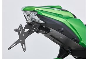 FECHTER DRIVE MOTORSPORT GMBH PROTECH X-Shape Kennzeichenhalter kompatibel mit Kawasaki Z650 2017-2019 ER650H