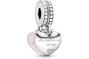 Pandora Moments Charms rodzina