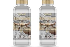 GiDeli Bioetanol 2 x 1 l de aroma a vainilla 96,6% etanol para chimeneas interiores y exteriores, sin humo ni hollín, de maíz y remolacha azucarera