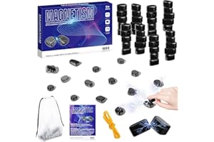 GENERISCH Magnetspiel,40 Stück Magnetisches Schachspiel, Tischspiele Magnetisches Schachspiel,Tragbares Schach Magnetisch Magnetisches Spiel für Erwachsene Partyzubehör für Familientreffen (40A)