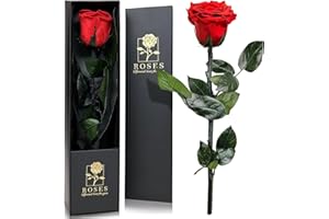 QHHENTOO Infinity Rose, Geschenke für Frauen, Ewige Rose mit Stiel Geschenke für Frauen Echte Rosen Eine Konservierte Blume für Mama Damen Freundin zum Geburtstag Valentinstag Weihnachten Muttertag