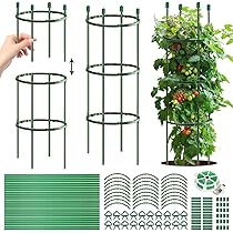 Clip Di Supporto Per Piante In Plastica, Riutilizzabili A Forma Di 8, Per Rampicanti E Pomodori, Giardinaggio, 50/100 Pezzi, Misura L - 4