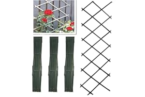 PRADICHI Wooden Expandable Pack of 3 Trellis for Climbing Plants – Garden Wall Trellis Fence Panels for Outdoor & Indoor Decoration, Partition & Plant Support (Green, 180cm x 60cm (3 Pack)