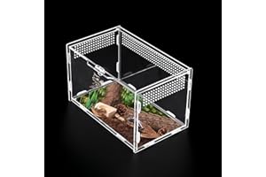 GOERPN Reptile Terrariums Stick Insect Enclosure 20×12×12cm Transparent Acrylic Reptile Feeding Box Insect Habitat Terrarium Case for Spider Lizard Scorpion Geckos Centipede Horned Frog Beetle Mantis