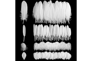 Geosar 300 Piezas Plumas Naturales de Ganso para Manualidades Decoraciones de Plumas Artesanales Plumas para Disfraces Bodas Fiestas Atrapasueños Ropa Casa (Blanco)