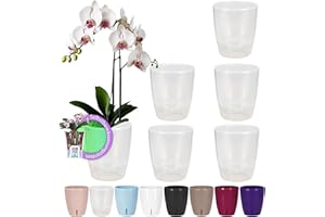 ‎SANTINO Santino 6er-Set Orchideentopf D 12cm Selbstbewässernder Topf mit Dochtsystem und Wasserstandsanzeige für den Innenbereich - Transparent - 1,3L