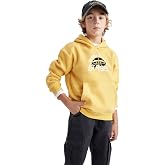DeFacto Boys' Regular Fit Hooded Sweatshirt