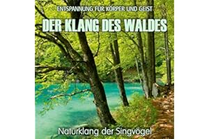 Electric Air Project: Klang des Waldes/CD