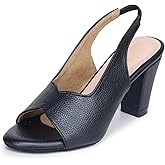 TRASE Ankle Strap Pointed Toe Block Heel Pumps Sandals For Women| Fashionable Sandals, Office, Party and Formal Occasions | L