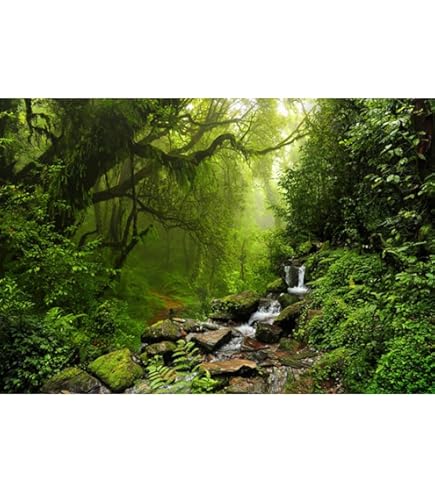 Sfondo Fotografico Foresta Incantata - 2.2x1.5m In Vinile, Per Ritratti E Feste A Tema Naturale - Foto 4