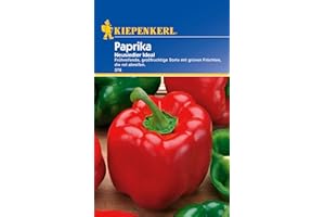 Kiepenkerl Paprikasamen Neusiedler Ideal 376 - Ertragreiche Speisepaprika Samen mit blockigen Früchten, vitaminreich und aromatisch - Saatgut für 20 Pflanzen