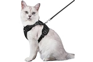 rabbitgoo Pettorina Gatto Antifuga con Guinzaglio, Guinzaglio per Gatti Regolabile, Pettorina Cane Taglia Piccola Riflettente, Imbracatura Gatto Adulto in Maglia Traspirante per Passeggiate, Nero, M
