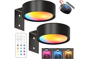 YOUYIKE 2 Piezas Aplique Luz Cuadros Sin Cable, LED Cuadro Mando a Distancia, 13 Modos de Iluminación, Regulable, Luz Magnética LED para Marco, Pared, Luces Artísticas Para (Negro)