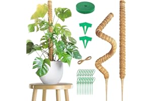 SRJEQC 2 Pièces Tuteur Monstera 100 cm, Support Plante Grimpante,100cm Tuteur Plante, Tuteurs pour Plantes Grimpante,Tuteur Coco pour Plante Grimpante,Tuteur pour Maison,Tuteur Fleur,Lierre