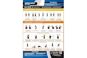 POSTERFIT Upper Body Stretching | Dynamic & Static Stretches | Laminated Home & Gym Poster | FREE Online Video Training Support | Size - 841mm x 594mm (A1) | Improves Personal Fitness & Flexibility